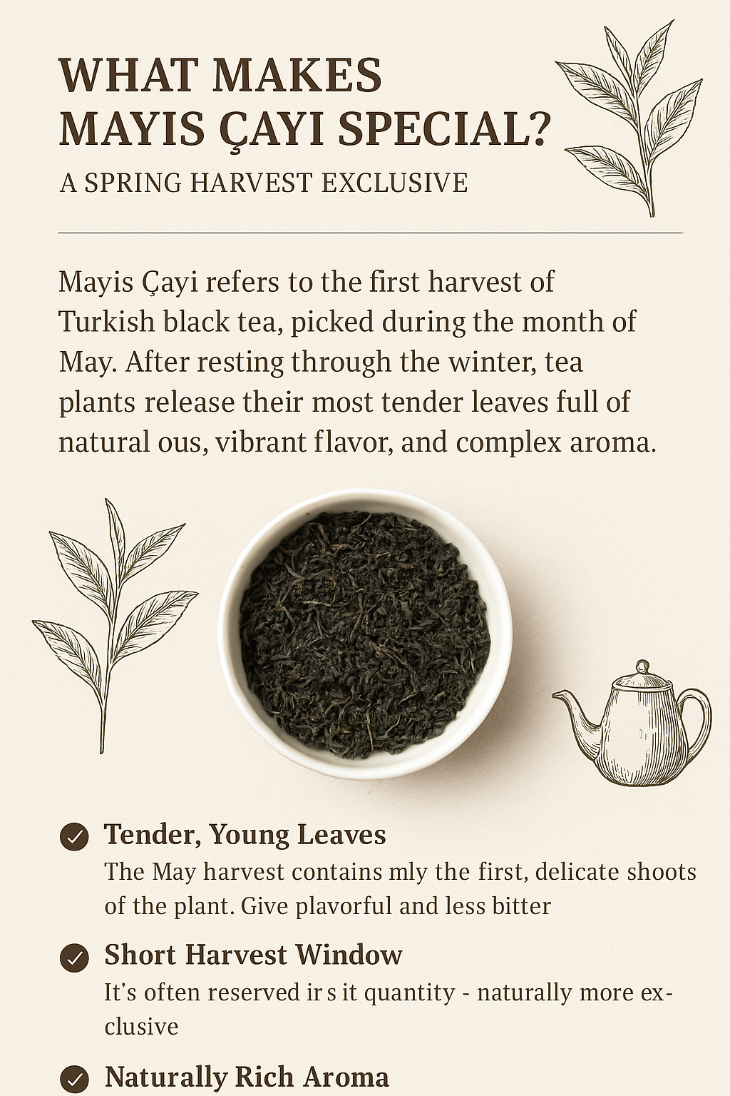 What Makes Mayıs Çayı Special? A Spring Harvest Exclusive